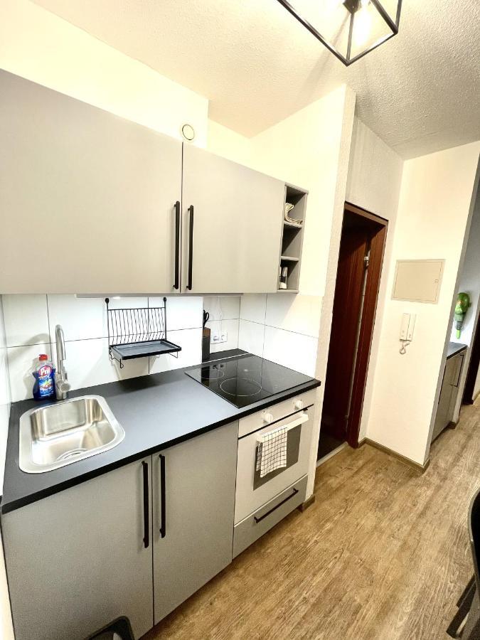 Boutique Apartment Am Bahnhof Фрайбург-у-Брайсгау Екстер'єр фото